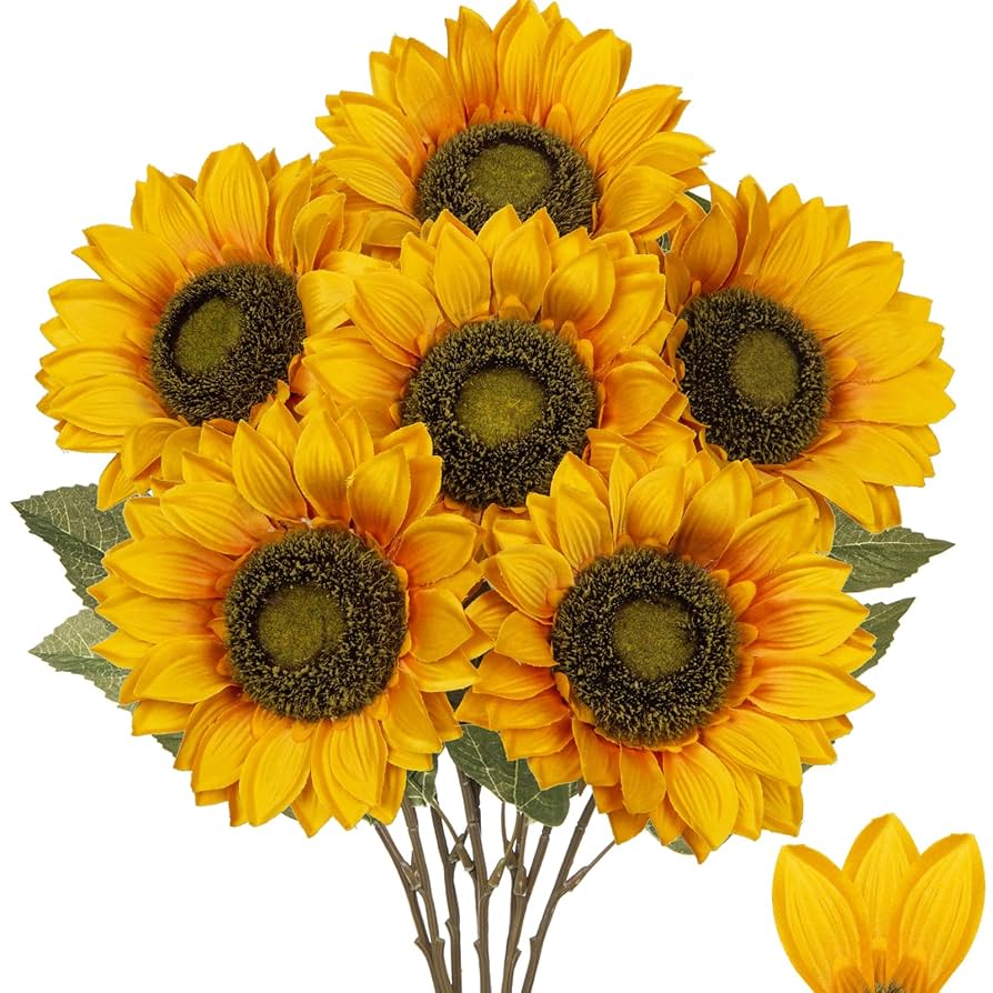 sunflower clenfef1nrvgpcmj6jlc_1400x.jpg